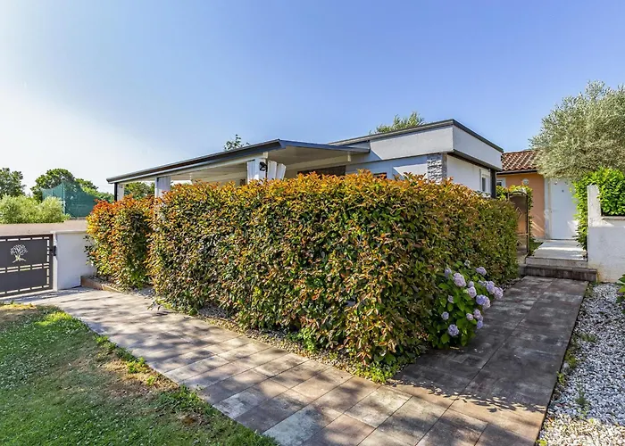 Prázdninový dům Mobile Superior-11 By Interhome